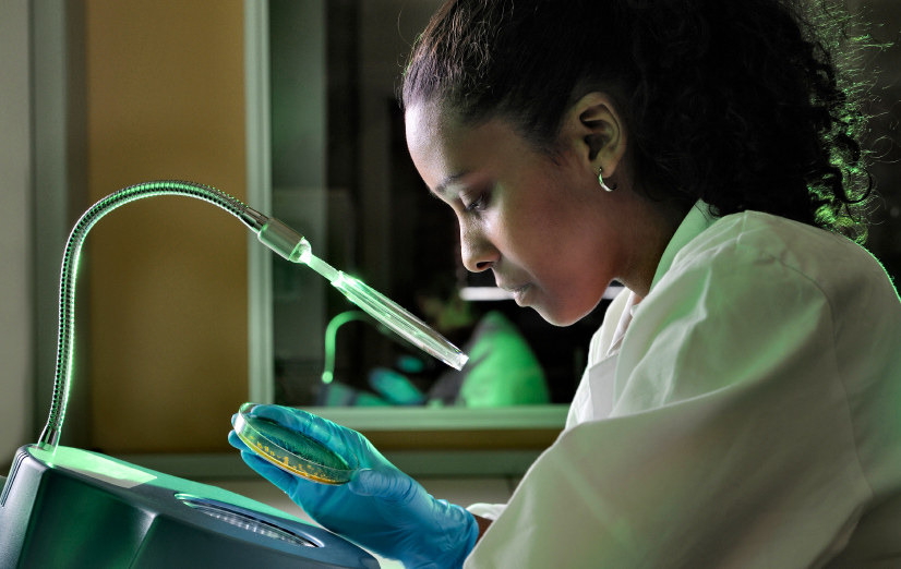 Forensic Toxicologist
