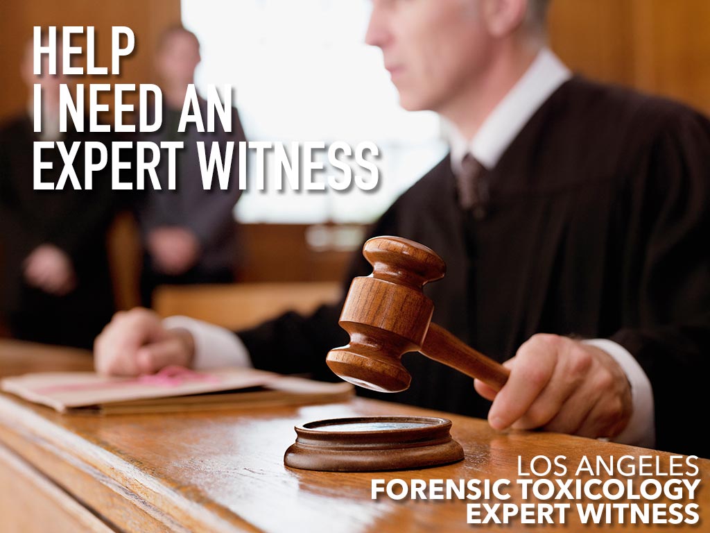 define expert witness