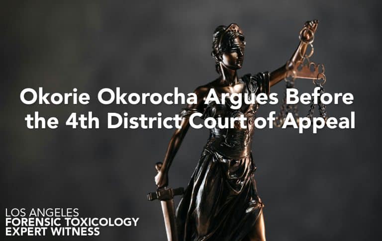 Okorie Okorocha Argues Before the 4th District Court of Appeal