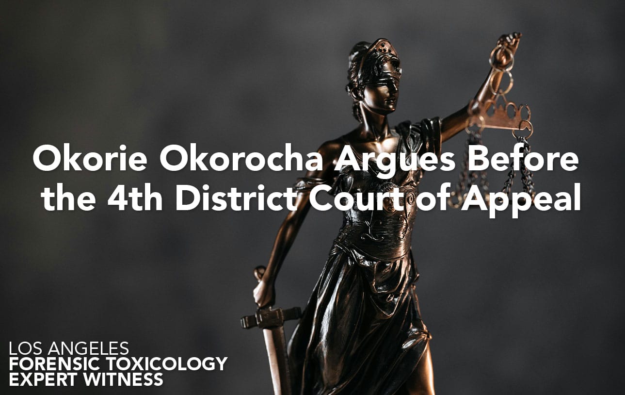 Okorie Okorocha Argues Before the 4th District Court of Appeal